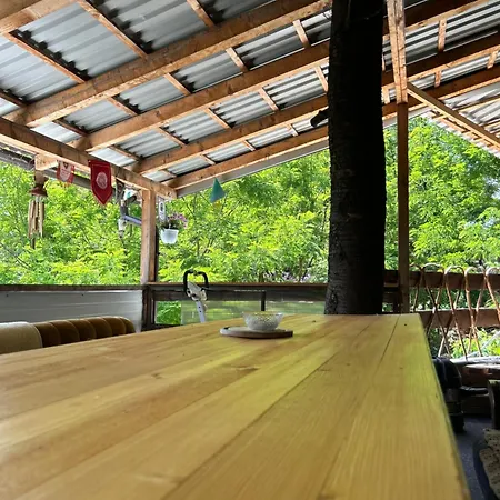 Nino Natural Wood House *