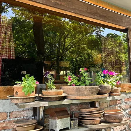 Apartman Nino Natural Wood House